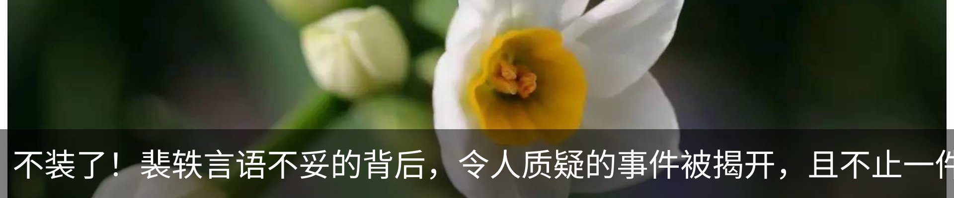 内页banner